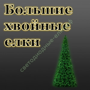 Большие хвойные елки